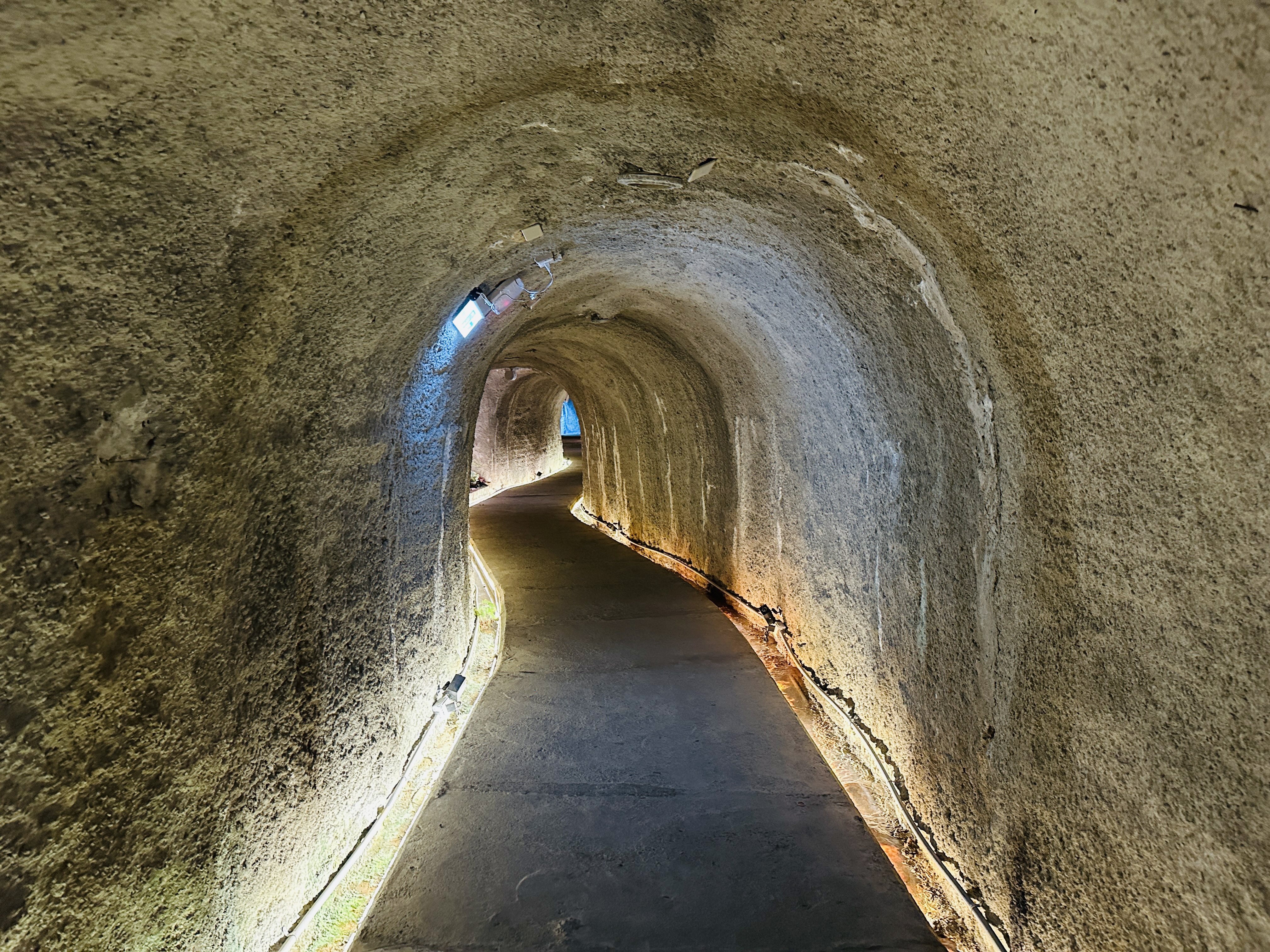 【西湖渡假村】一泊三食特惠住宿方案│動態實境恐龍特展震撼登場