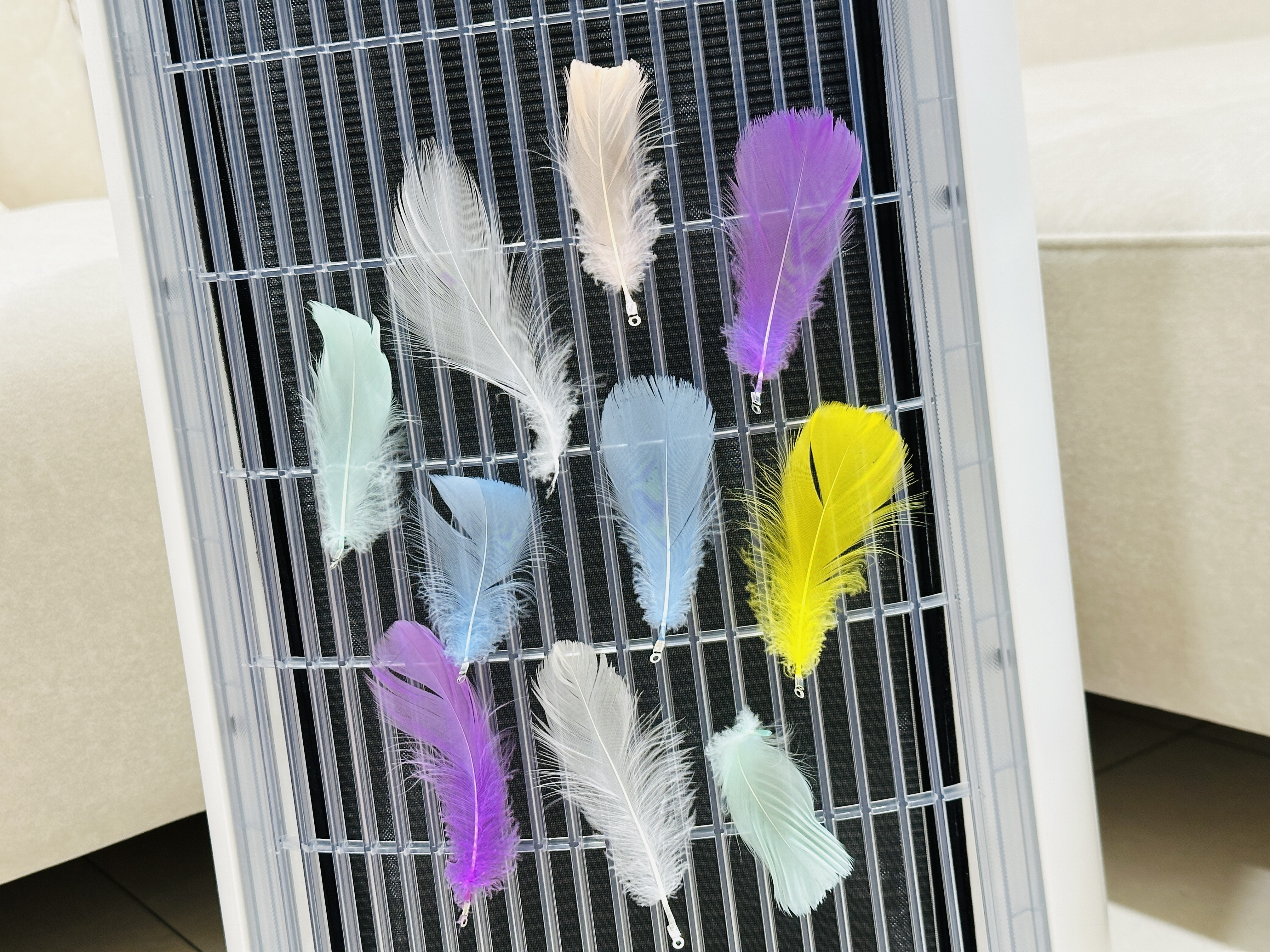 SoleusAir 吸毛大師宅配開箱｜長毛臘腸家必備的毛髮救