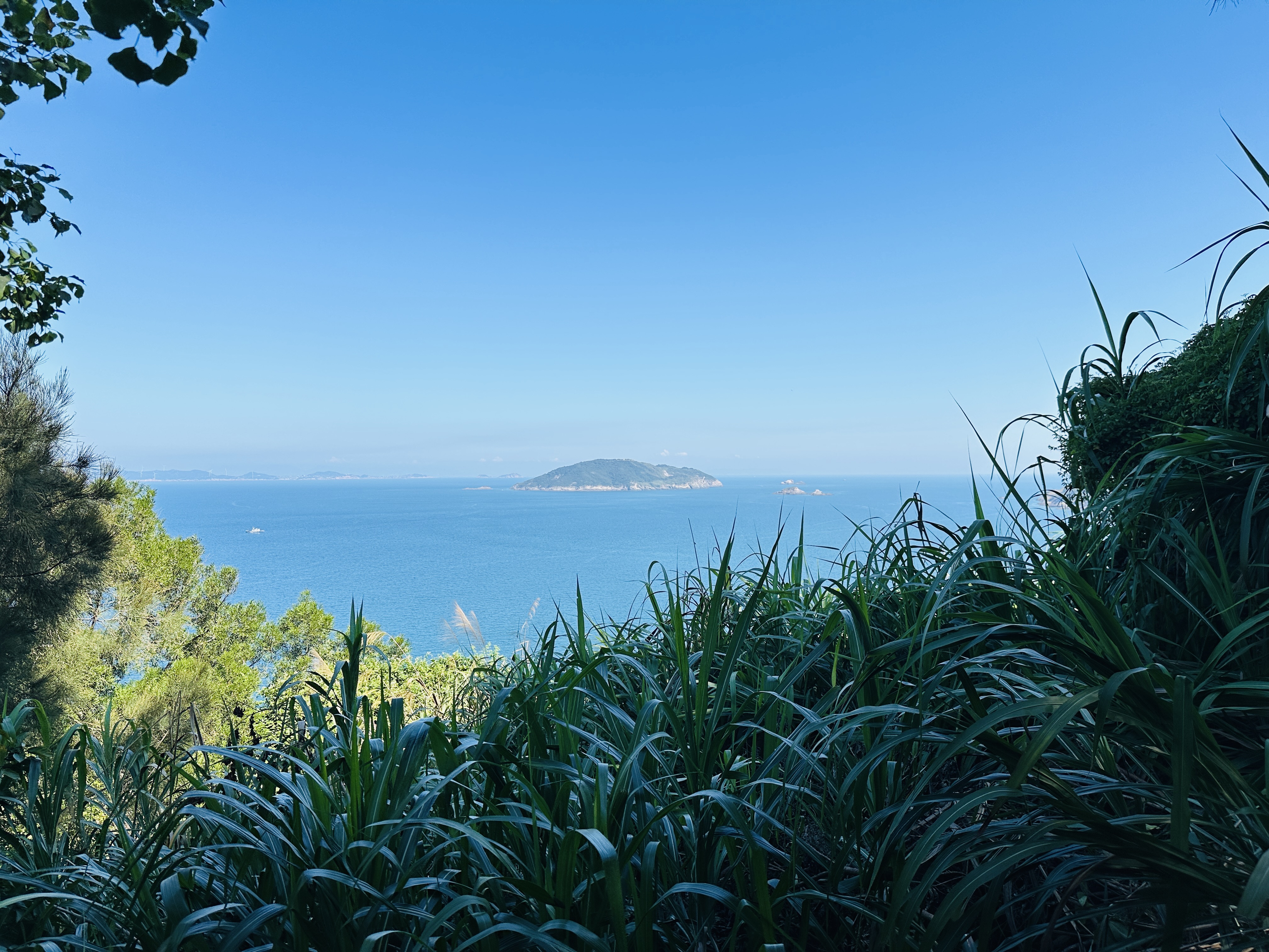 【2025馬祖漫島生活｜尋步馬祖GO! 踩點活動體驗】北竿芹