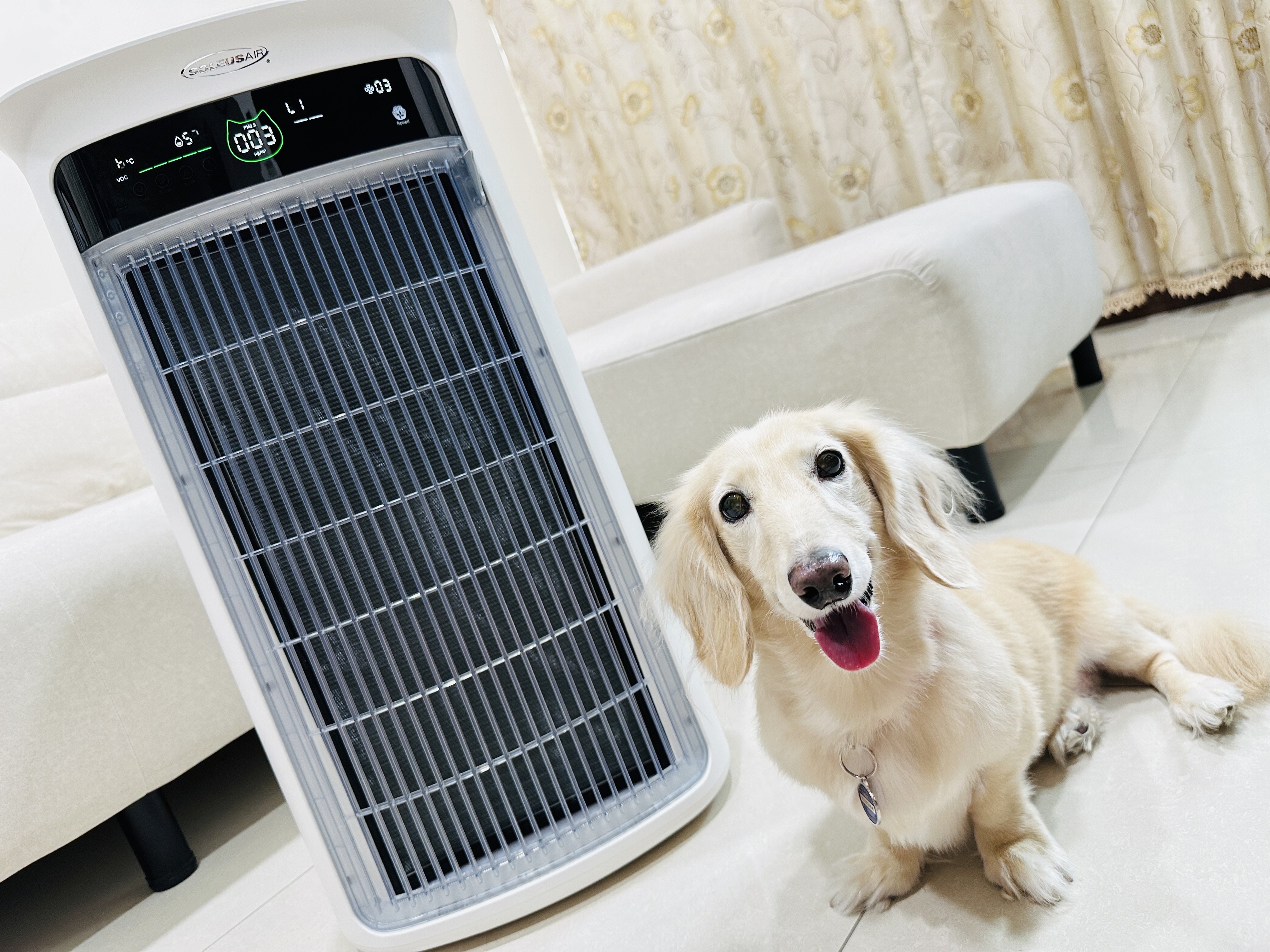 SoleusAir 吸毛大師宅配開箱｜長毛臘腸家必備的毛髮救