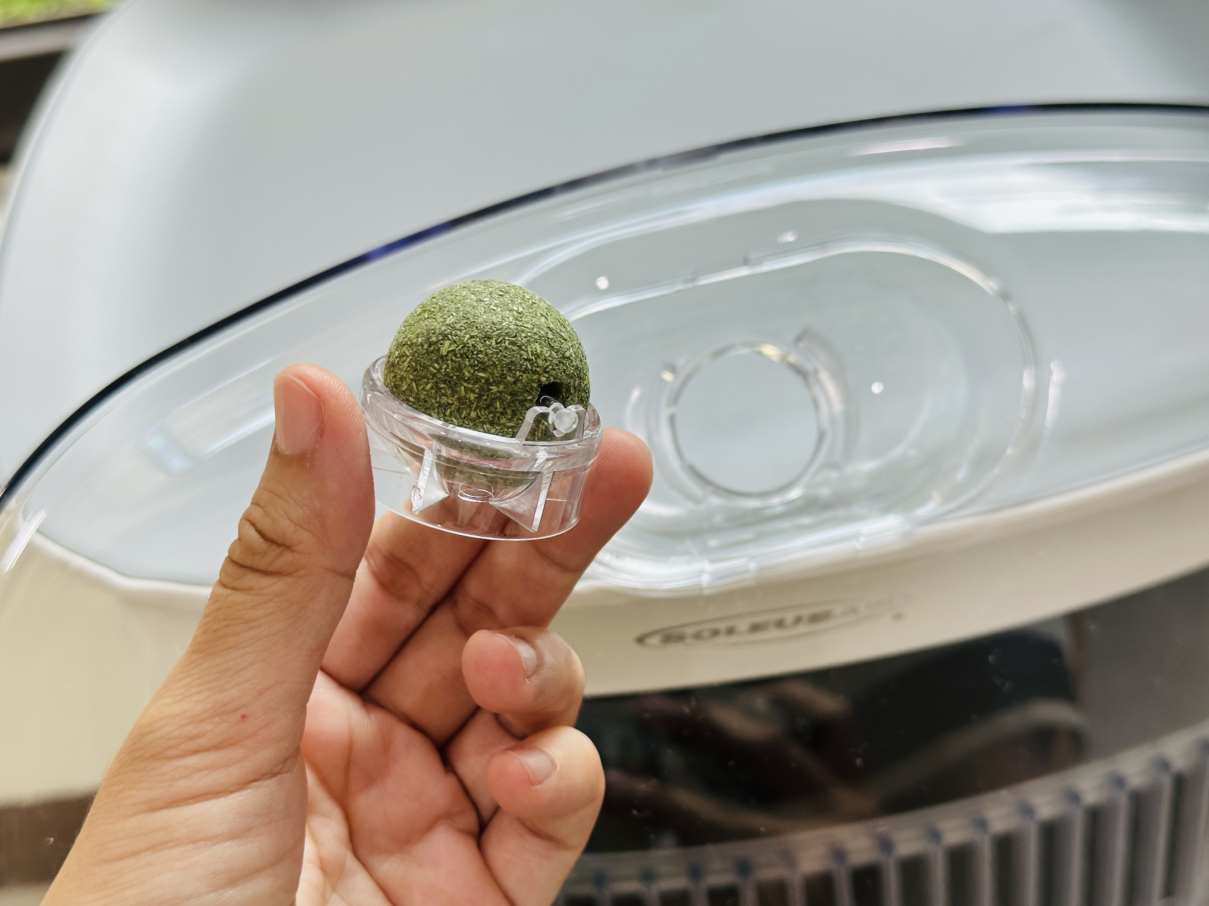 SoleusAir 吸毛大師宅配開箱｜長毛臘腸家必備的毛髮救