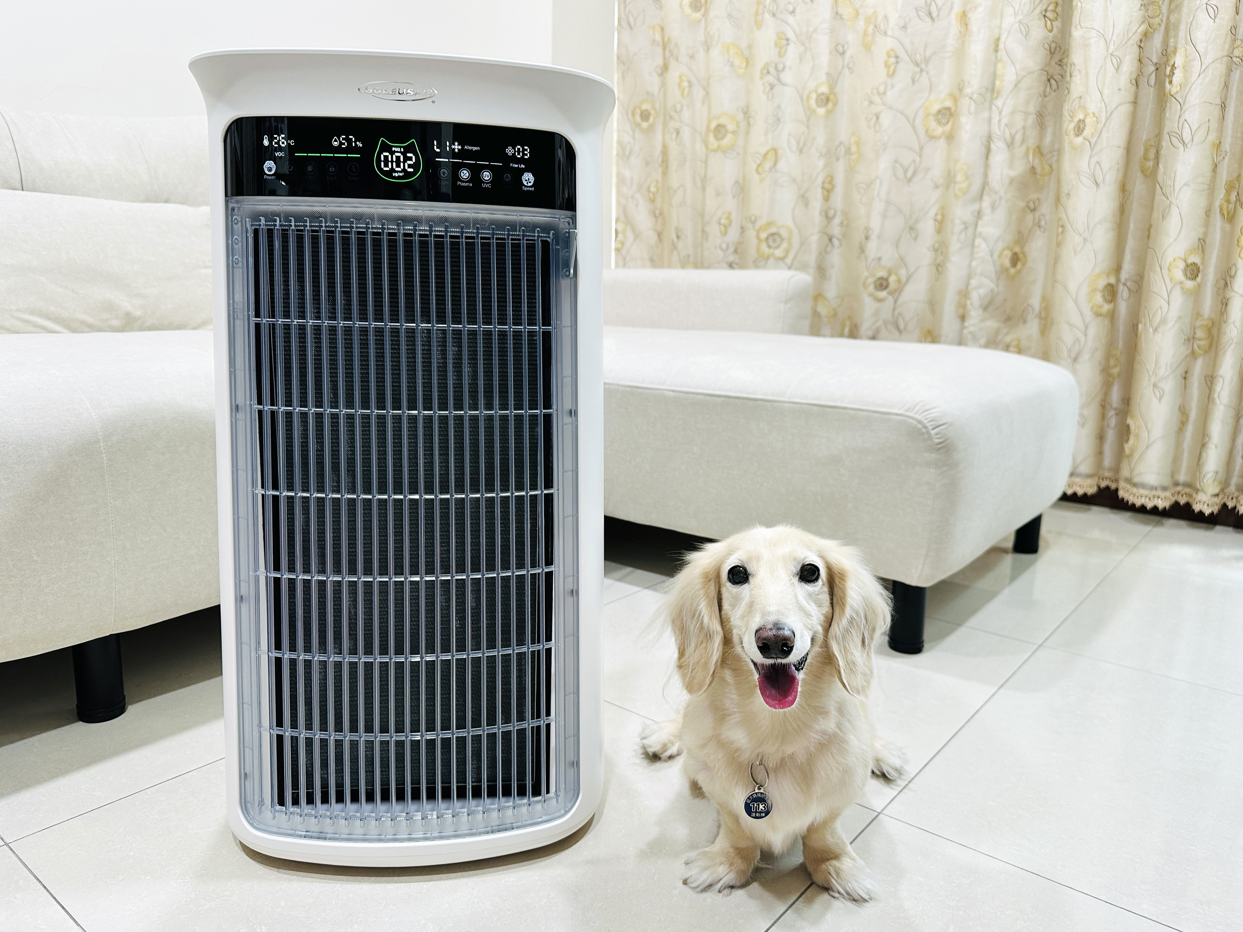 SoleusAir 吸毛大師宅配開箱｜長毛臘腸家必備的毛髮救