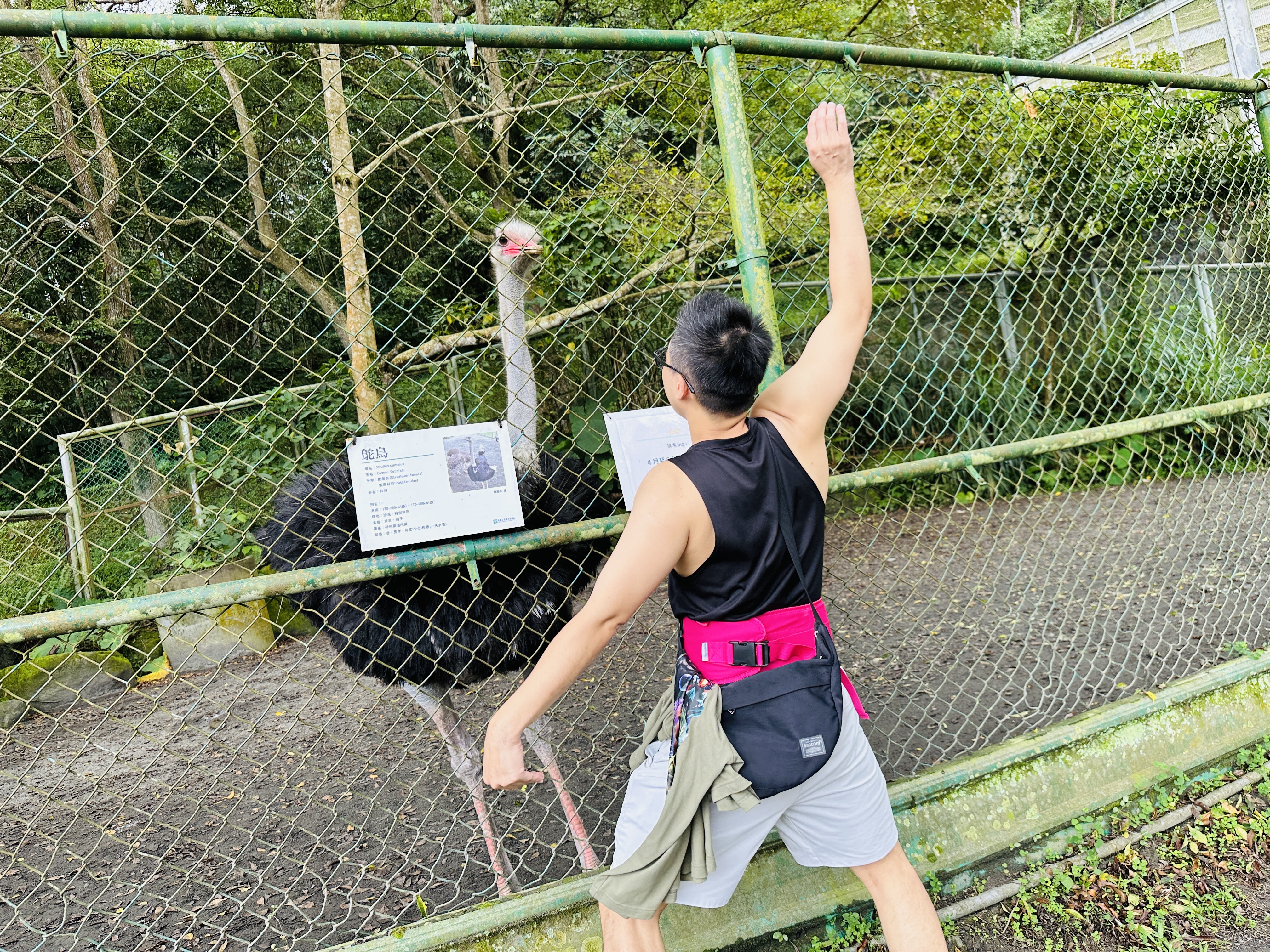 【鳳凰‧森之鳴】南投鹿谷鄉鳳凰自然教育園區，入住會呼吸的森林