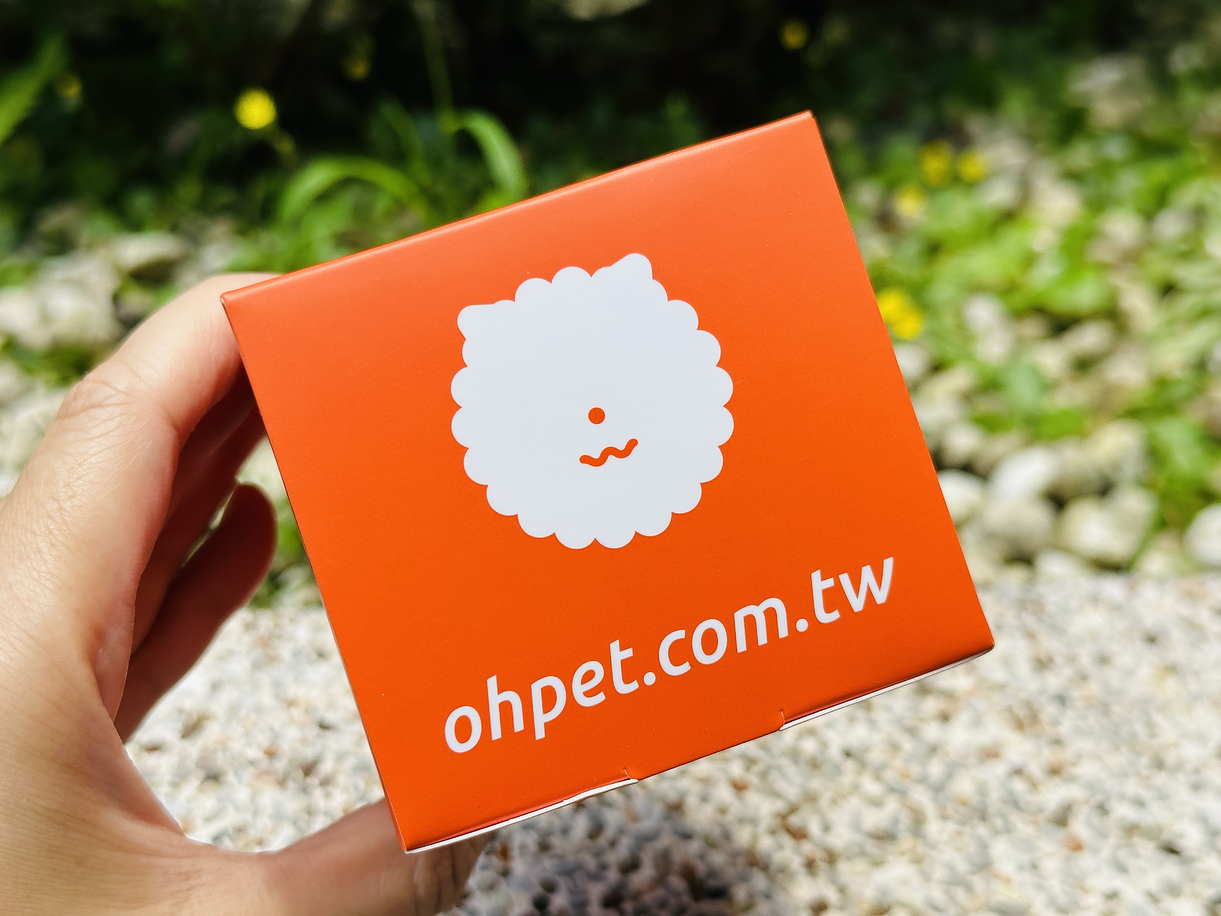 【Oh!Pet®】狗狗益生菌＋關節保健實測｜小臘腸咪咪日常補