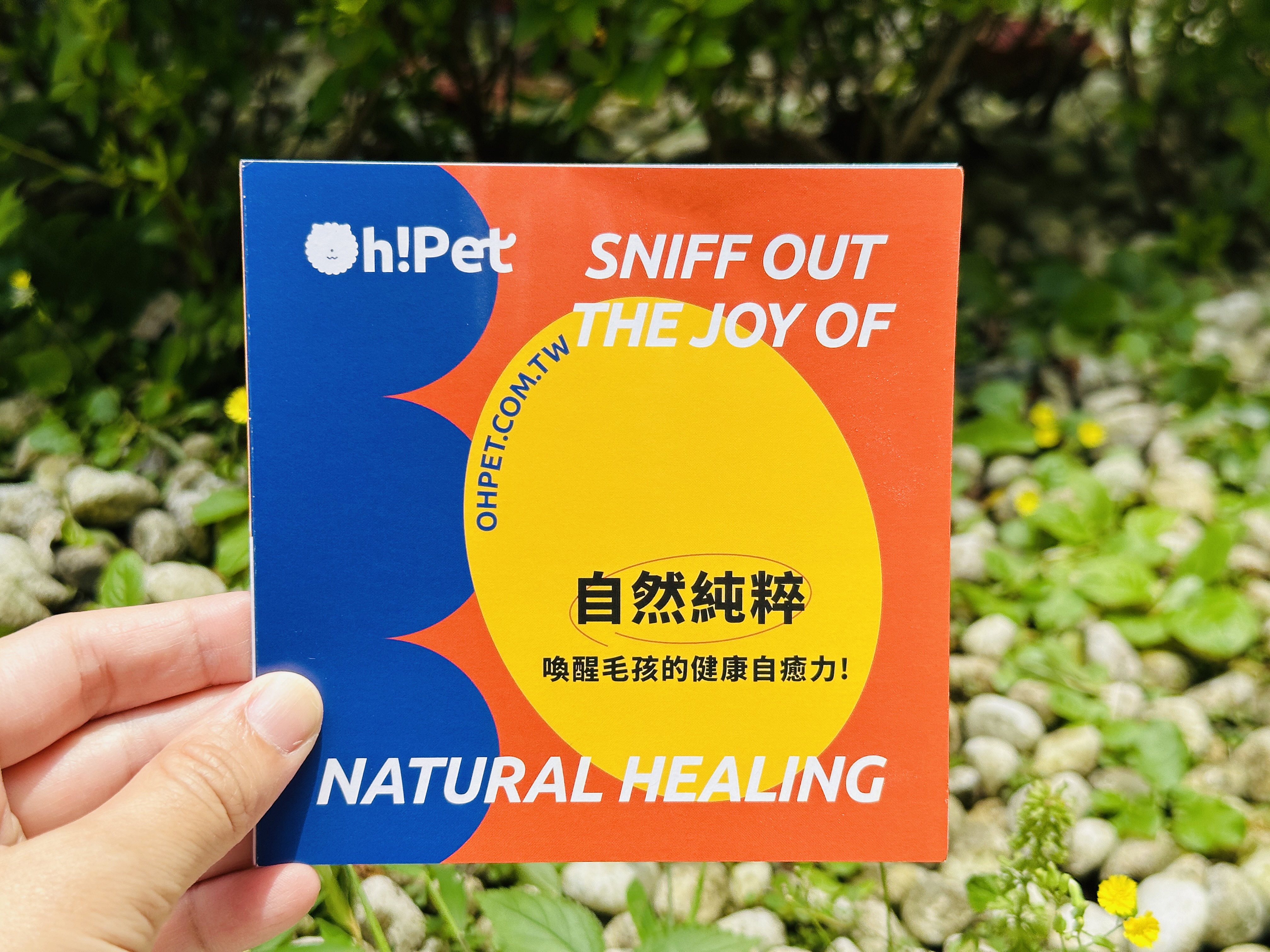 【Oh!Pet®】狗狗益生菌＋關節保健實測｜小臘腸咪咪日常補