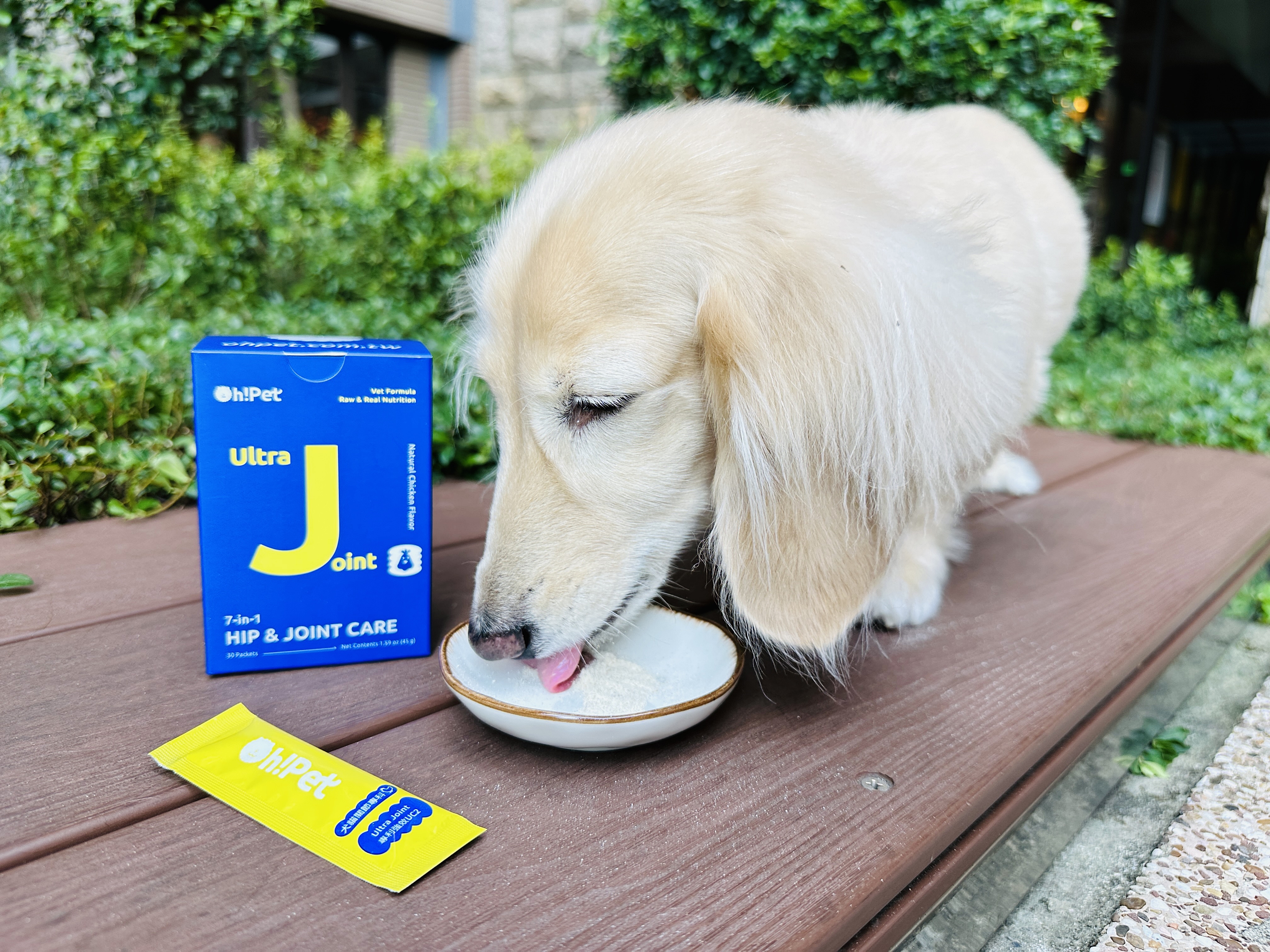 【Oh!Pet®】狗狗益生菌＋關節保健實測｜小臘腸咪咪日常補