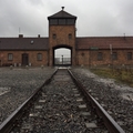 波蘭奧斯威辛集中營Auschwitz Camp 德國納粹大屠殺的死亡工廠 - 9
