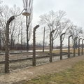 波蘭奧斯威辛集中營Auschwitz Camp 德國納粹大屠殺的死亡工廠 - 10