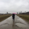 波蘭奧斯威辛集中營Auschwitz Camp 德國納粹大屠殺的死亡工廠 - 11