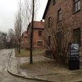 波蘭奧斯威辛集中營Auschwitz Camp 德國納粹大屠殺的死亡工廠 - 13