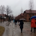 波蘭奧斯威辛集中營Auschwitz Camp 德國納粹大屠殺的死亡工廠 - 15