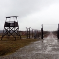波蘭奧斯威辛集中營Auschwitz Camp 德國納粹大屠殺的死亡工廠 - 32