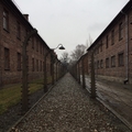 波蘭奧斯威辛集中營Auschwitz Camp 德國納粹大屠殺的死亡工廠 - 2