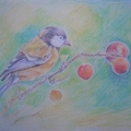 我愛臺灣鳥類\ 彩色鉛筆畫\美樹家