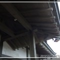 20120227[賽德克‧巴萊]林口霧社街 - 4