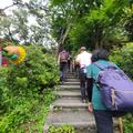 第96次登山記，111/05/08雲林林內龍過脈