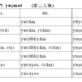 人稱代名詞 (第二人稱)