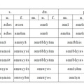 指示代名詞 adas