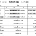 子音語基變化 (二樣語基) tudat-1