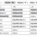 子音語基變化 (三樣語基) rājan