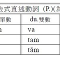 第一類過去式直述動詞語尾(P)