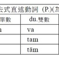 第二類過去式直述動詞語尾(P)