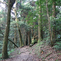 東眼山森林遊樂區 - 1