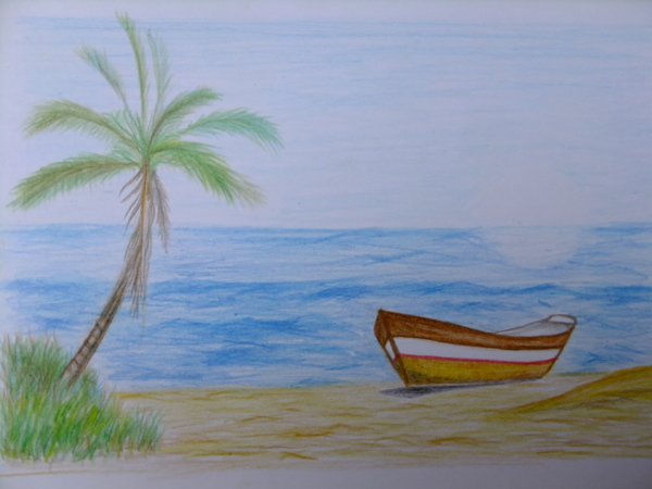 拼湊想像 新椰子樹 Sweet Raccoon S House Udn部落格