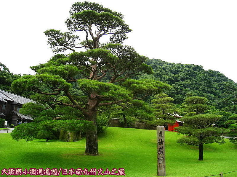 日本南九州－鹿兒島－仙巖園之貓神社、御殿(遙望櫻島火山)、鶴燈籠