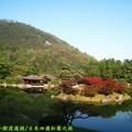 (059)香川縣-栗林公園之南湖與掬月亭