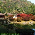 (060)香川縣-栗林公園之南湖與掬月亭