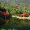 (063)香川縣-栗林公園之南湖紅葉