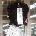 (285)長崎鼻-海龜龜甲藝品