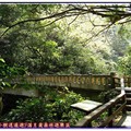 (082)滿月圓森林遊樂區-通往處女瀑布之滿足小橋