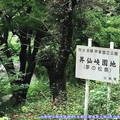 (409)昇仙峽國立公園-夢之松島立牌