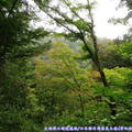 (422)昇仙峽國立公園-沿途景致
