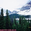 (077)班夫國家公園-冰原大道之雪峰