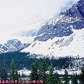 (078)班夫國家公園-冰原大道之雪峰