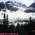 (079)班夫國家公園-冰原大道之雪峰與弓河