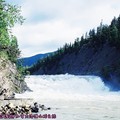 (008)加拿大洛磯山脈－班夫國家公園之弓河瀑布