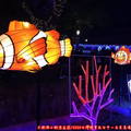 (243)海底世界-小丑魚花燈