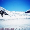 (009)加拿大洛磯山脈－傑士伯國家公園之哥倫比亞冰原