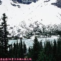 (080)班夫國家公園-冰原大道之雪峰與弓河