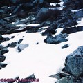 (016)加拿大洛磯山脈－班夫國家公園之夢蓮湖旁積雪