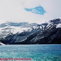 (083)班夫國家公園-冰原大道之弓湖與雪峰
