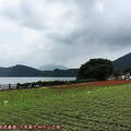 (265)指宿-池田湖與開聞岳火山