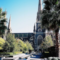(194)墨爾本-聖派翠克大教堂