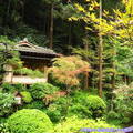 (429)東京高尾山-鳥山餐廳庭園造景
