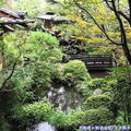 (449)東京高尾山-鳥山餐廳庭園造景