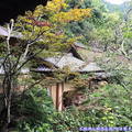 (451)東京高尾山-鳥山餐廳庭園造景
